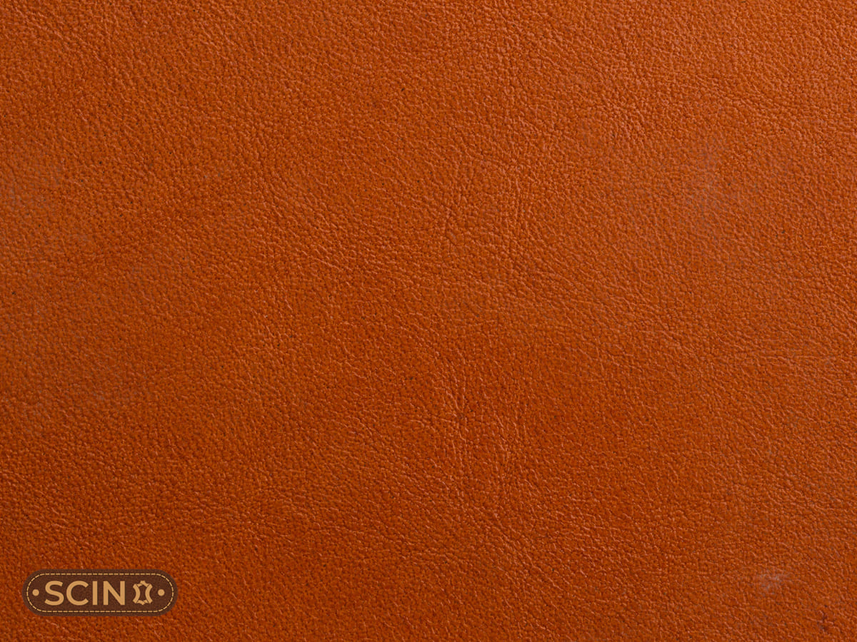 aniline leather finish