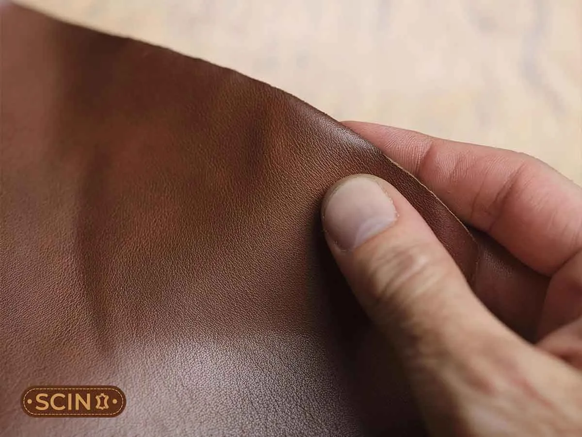 Feel the Fabric Feel the Fabric