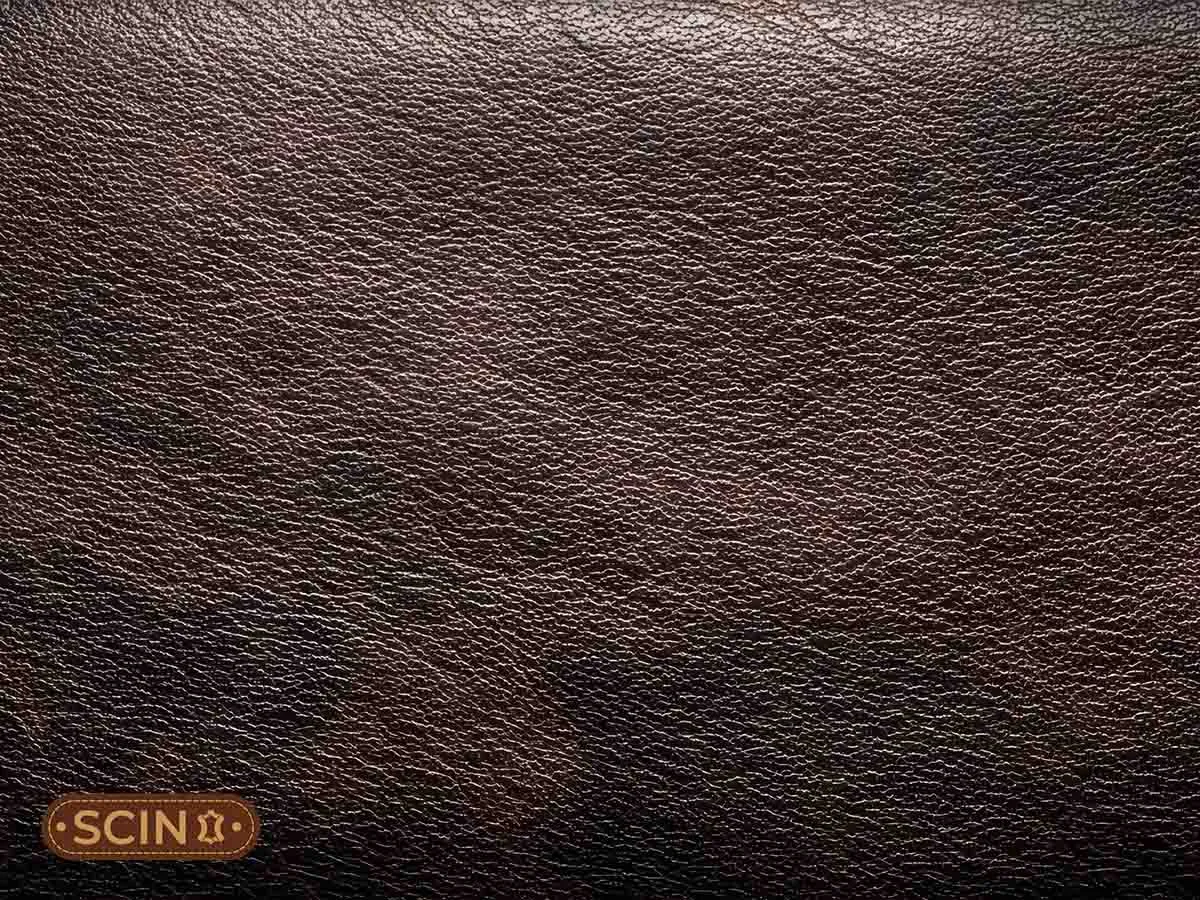 Grained leather texture Grained leather texture