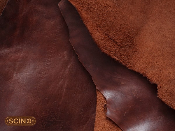 Difference between horsehide vs cowhide