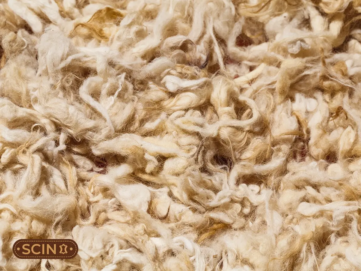 liama-wool