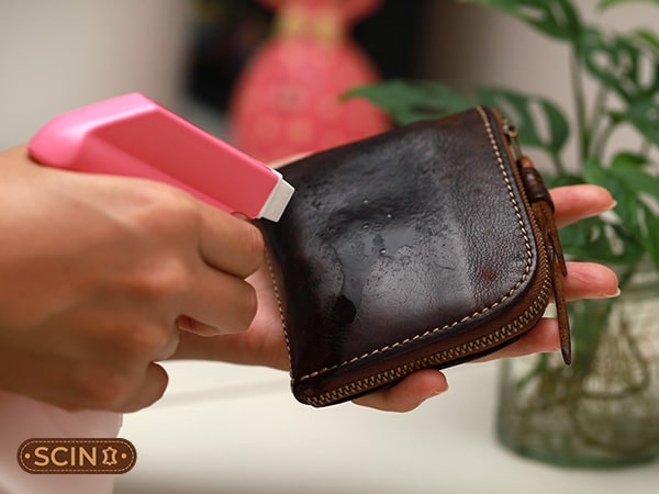 Maintaining types of wallets for ladies